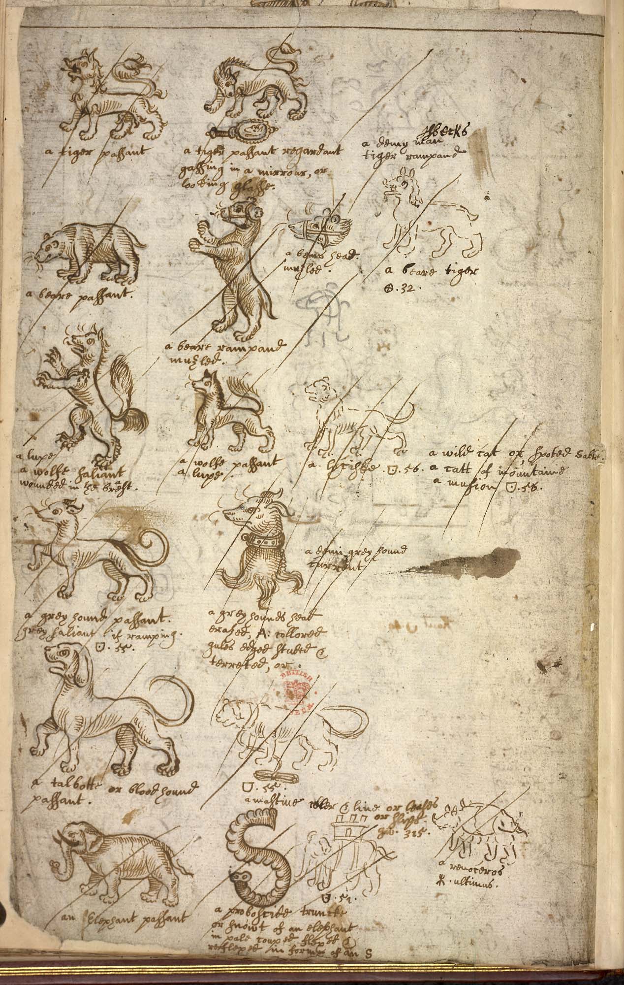 H2026 f.48v