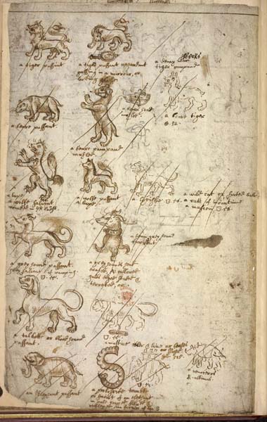 H2026 f.48v