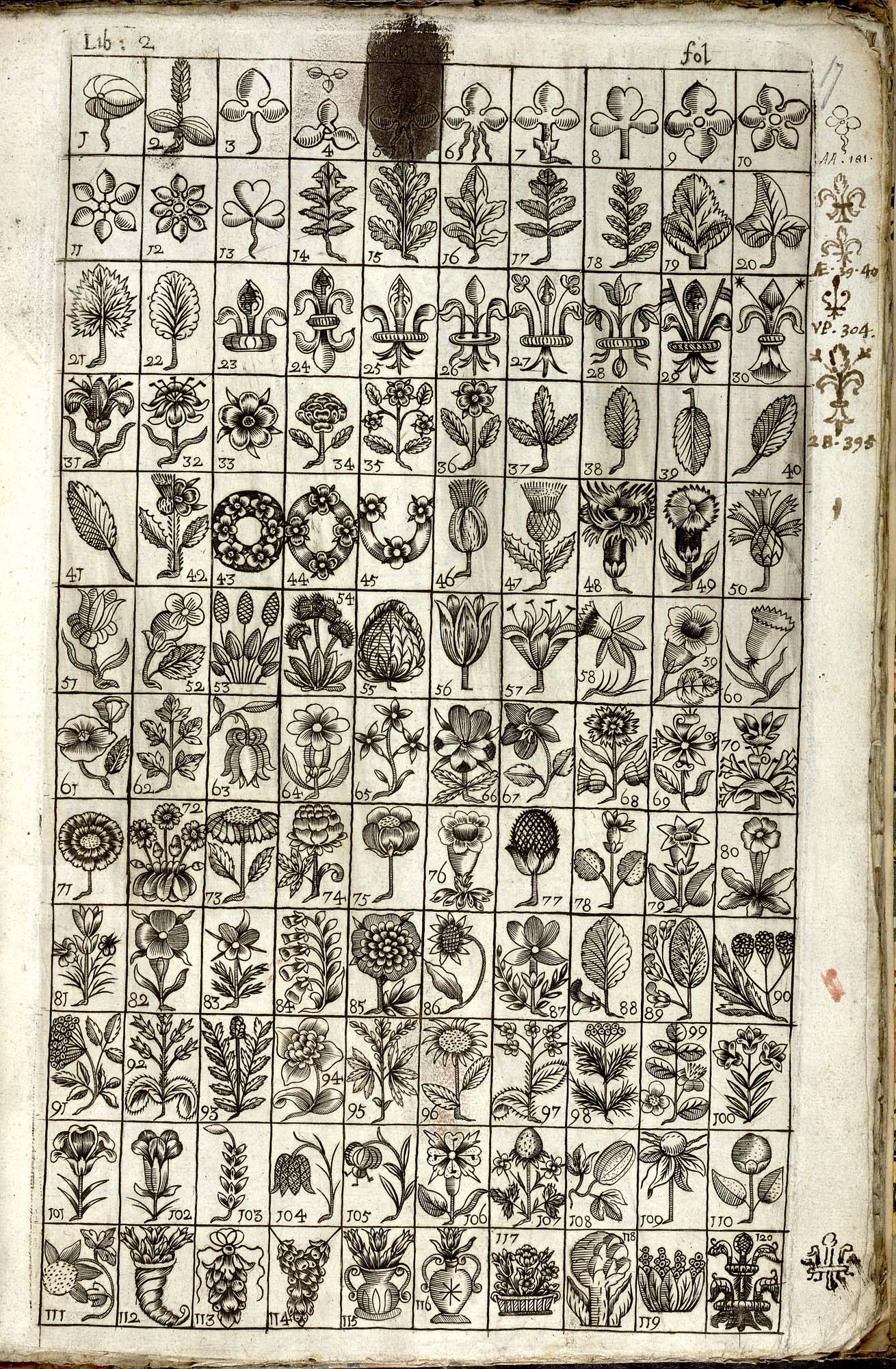 H5955 f.17