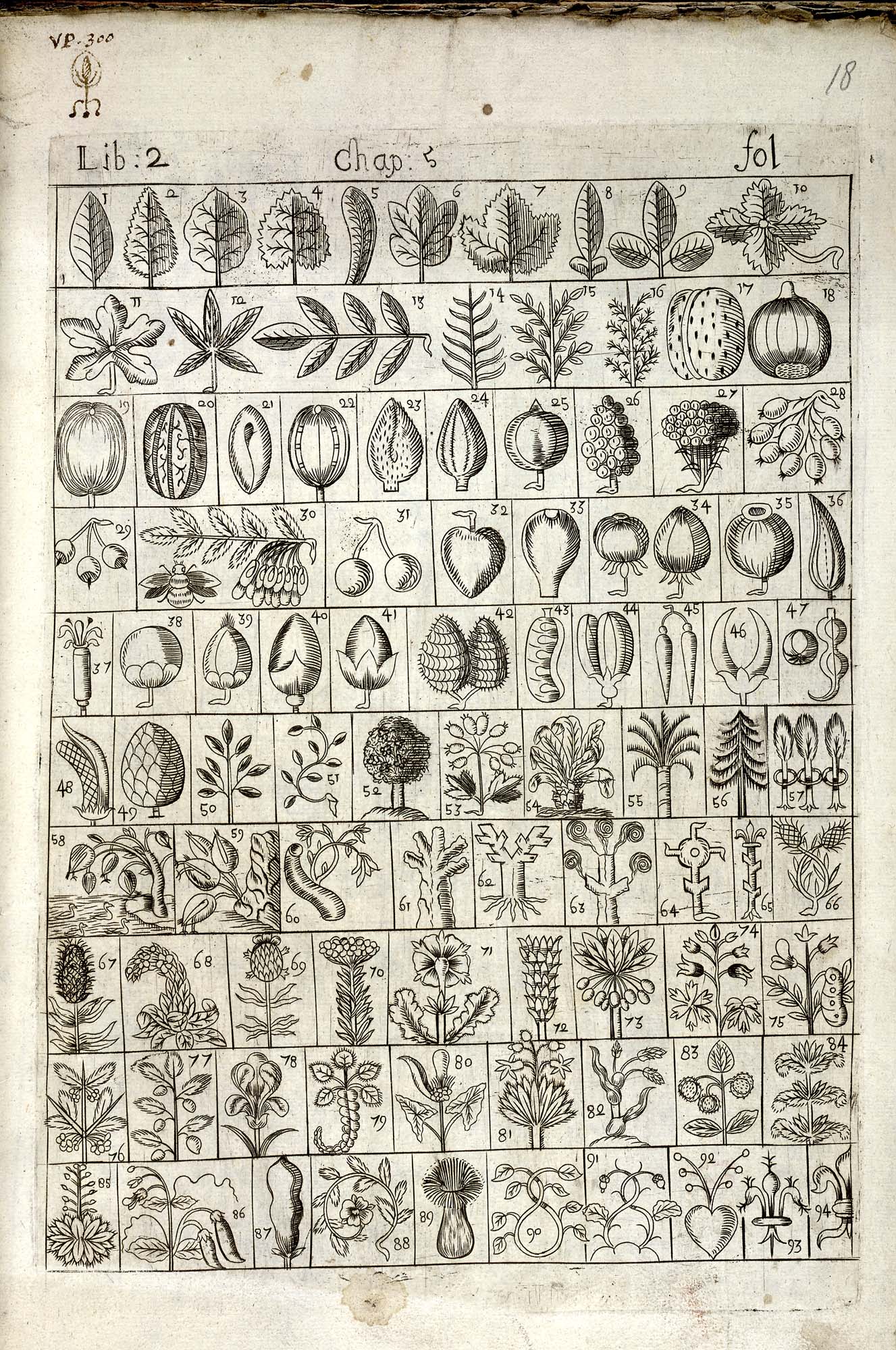 H5955 f.18
