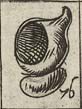 Carthusian monk's hood