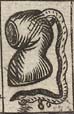 Mourning hood