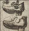 Shoe; Clog; Galoshes; Slipper; Patten