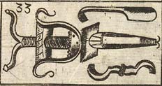 Terebellum; Scraping spatula; Levator