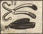 Crane bill pincer; Razor