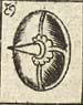 Shield