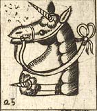 Horse head harnessed