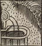 Cloud and rain with a Cistern