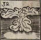 Peninsular