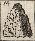 Rock or Mountain