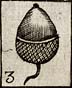 Acorn