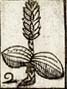 Dufoil