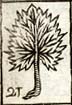 Nettle leaf