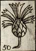 Blewbottle