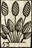 Bunch of Plantan leaves