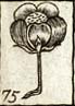 Single Crowfoot