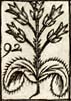 Comfery