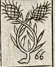 Wheat stalk