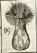 Stone Mushroom