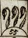 Shapournet 3 Lion's tails