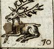 Stag