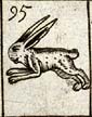 Hare