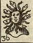 Medusa's head