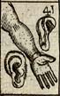 Left hand between two ears