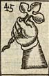 Hand holding a trefoil