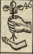 Hand holding a flower de lis; Naked arm
