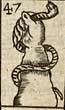 Tawny Moor's arm with adder