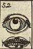 Eye; Mouth