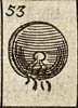 Woman's dugg or breast