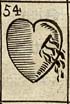 Wounded heart