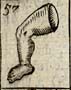 Man's leg