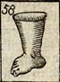 Foot