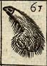 Satyr's prick