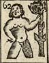 Man with a Hollyn tree