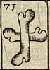 Two shin bones