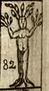 Sister of Phaeton metamorphosed into a tree