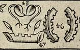 Ragged staves; Stock; Heart leaves