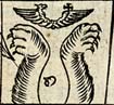 Lion's legs <I>and</I> Cherub's wings