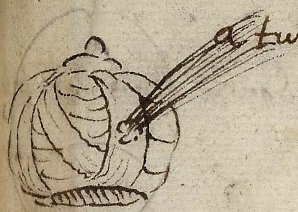  Book III, Chapter 1a, No. 70 