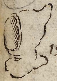  Book III, Chapter 1a, No. 76 