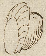  Book III, Chapter 1a, No. 82 