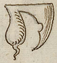  Book III, Chapter 2a, No. 13 