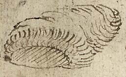  Book III, Chapter 5b, No. 111 