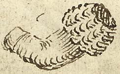  Book III, Chapter 5b, No. 128 