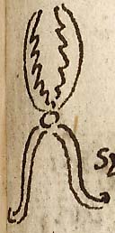  Book III, Chapter 7a, No. 26 