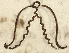  Book III, Chapter 7a, No. 29 